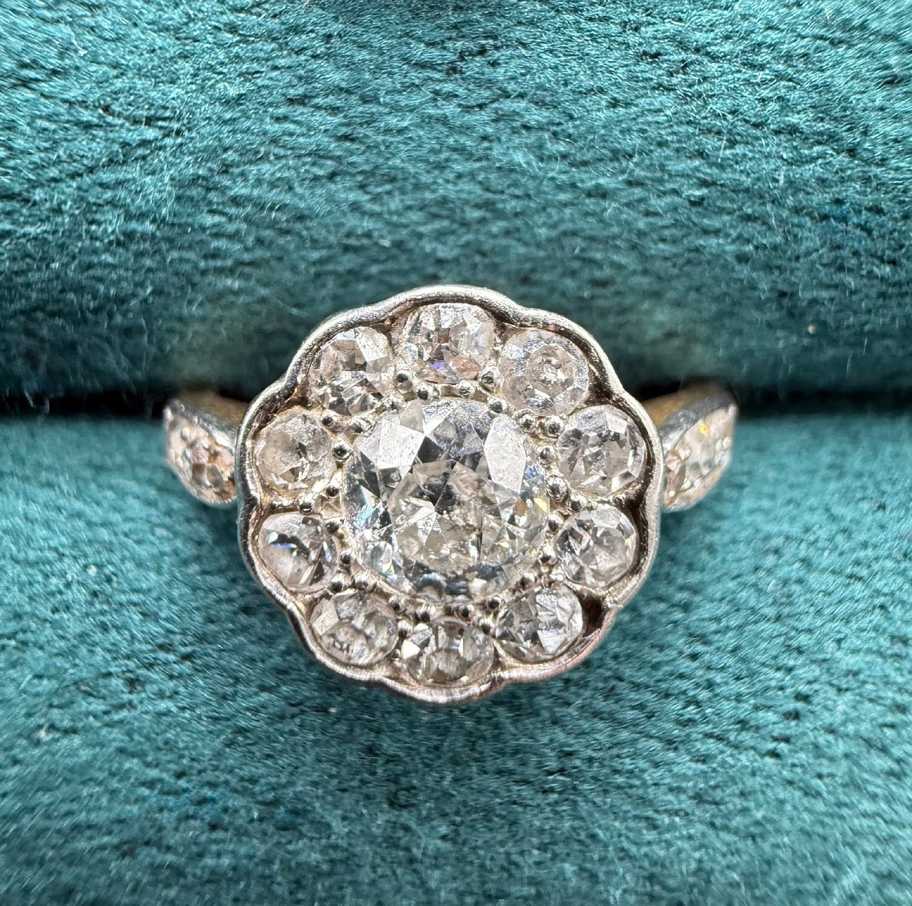 18ct gold and platinum old cut diamond daisy cluster ring antique